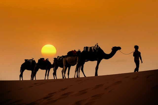 Viaje en grupo por el desierto de Marruecos